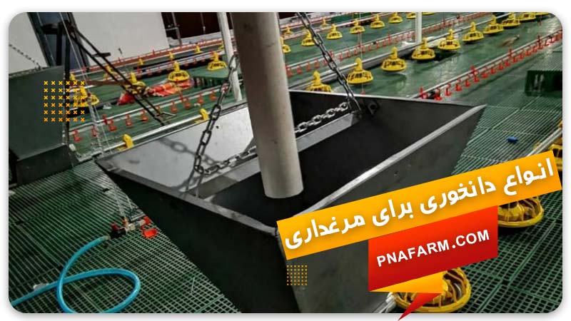 انواع دانخوری برای مرغداری | پیشگامان نوید آرتیمان