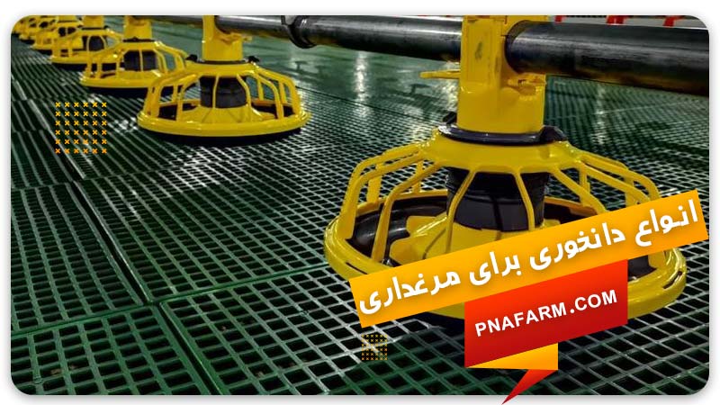 انواع دانخوری برای مرغداری | پیشگامان نوید آرتیمان